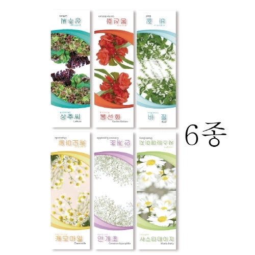 광고형 씨앗