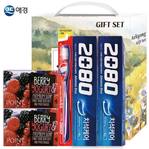 애경 실속세트 4호 (포인트 비누2p+2080 치약*2p+2080 칫솔+전용케이스)